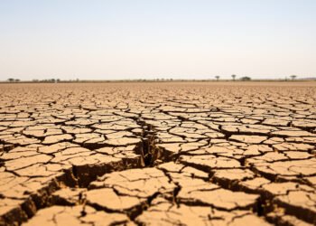 Tierra agrietada por la sequía en África subsahariana, región vulnerable al fenómeno de El Niño.