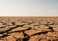 Tierra agrietada por sequía extrema bajo sol intenso, escenario típico de olas de calor vinculadas a El Niño.