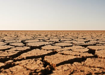 Tierra agrietada por sequía extrema bajo sol intenso, escenario típico de olas de calor vinculadas a El Niño.