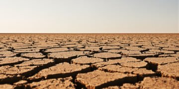Tierra agrietada por sequía extrema bajo sol intenso, escenario típico de olas de calor vinculadas a El Niño.