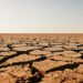 Tierra agrietada por sequía extrema bajo sol intenso, escenario típico de olas de calor vinculadas a El Niño.