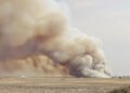 Humo denso elevándose de incendios forestales en paisaje tropical, como los que afectan las turberas de Indonesia.