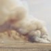 Humo denso elevándose de incendios forestales en paisaje tropical, como los que afectan las turberas de Indonesia.