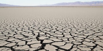 Tierra agrietada por la sequía en un lago seco de Europa durante el verano extremo de 2026.