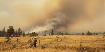Humo denso sobre bosque de coníferas durante incendio forestal en el oeste de Estados Unidos.