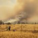 Humo denso sobre bosque de coníferas durante incendio forestal en el oeste de Estados Unidos.
