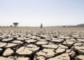 Tierra agrietada por la sequía en Centroamérica, región afectada por el fenómeno de El Niño.