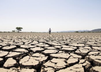 Tierra agrietada por la sequía en Centroamérica, región afectada por el fenómeno de El Niño.