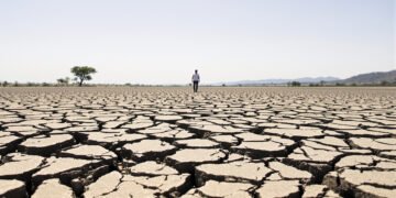 Tierra agrietada por la sequía en Centroamérica, región afectada por el fenómeno de El Niño.