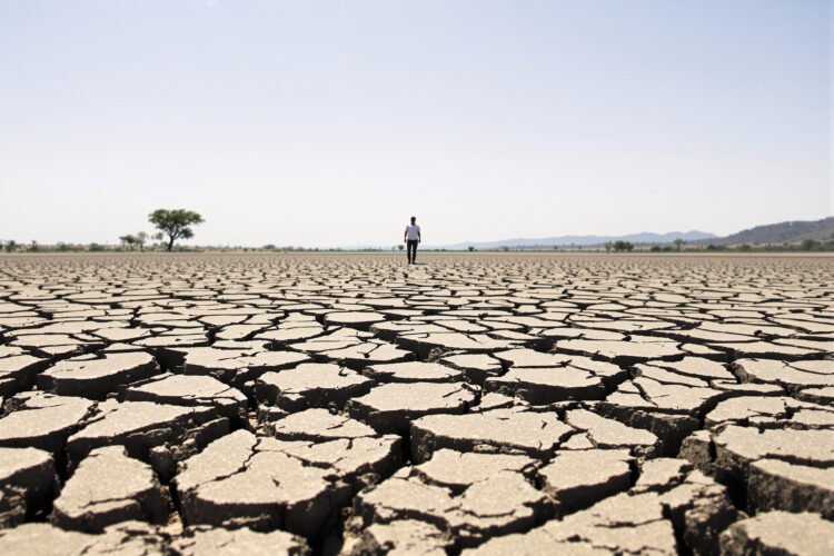 Tierra agrietada por la sequía en Centroamérica, región afectada por el fenómeno de El Niño.