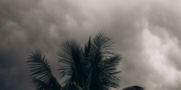 Palmeras azotadas por fuertes vientos durante una tormenta tropical en el Pacífico.