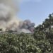 Orangután de Borneo en paisaje forestal afectado por incendios en Indonesia