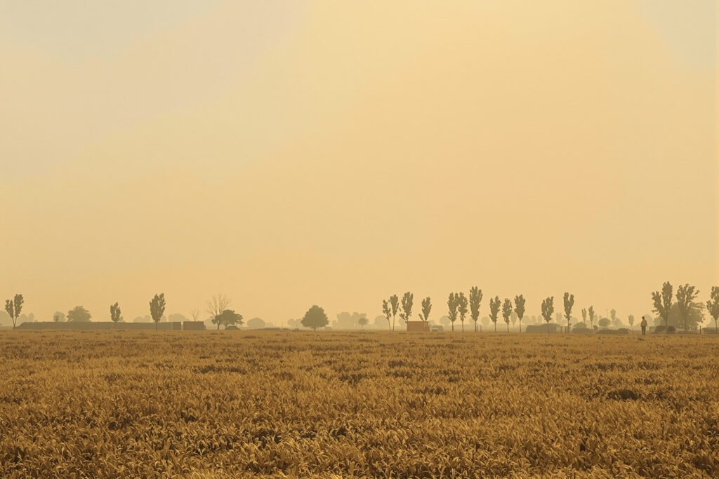 Humo denso de incendios forestales cubre el paisaje en Indonesia