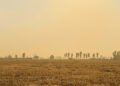 Humo denso de incendios forestales cubre el paisaje en Indonesia