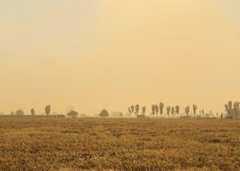Humo denso de incendios forestales cubre el paisaje en Indonesia