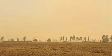 Humo denso de incendios forestales cubre el paisaje en Indonesia