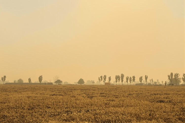 Humo denso de incendios forestales cubre el paisaje en Indonesia