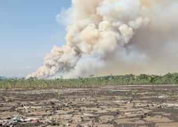 Humo denso sobre turberas incendiadas en Indonesia, donde los fuegos arden bajo tierra durante meses.