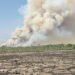 Humo denso sobre turberas incendiadas en Indonesia, donde los fuegos arden bajo tierra durante meses.