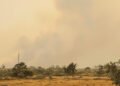 Humo denso cubre el cielo de Borneo durante los incendios forestales que afectan Indonesia.