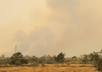 Humo denso cubre el cielo de Borneo durante los incendios forestales que afectan Indonesia.