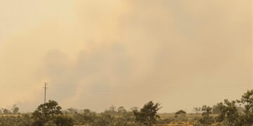Humo denso cubre el cielo de Borneo durante los incendios forestales que afectan Indonesia.
