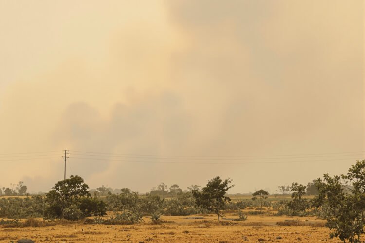 Humo denso cubre el cielo de Borneo durante los incendios forestales que afectan Indonesia.