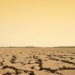 Campo de soja afectado por sequía con suelo agrietado, contexto del desarrollo del INTA para variedades tolerantes.