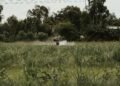 Agricultor aplicando pesticidas en campo cultivado, escena representativa de la exposición a agroquímicos.