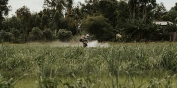 Agricultor aplicando pesticidas en campo cultivado, escena representativa de la exposición a agroquímicos.