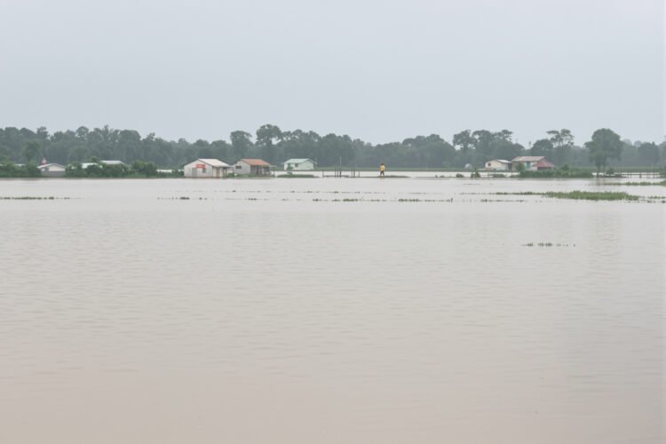 Aldea inundada en Vietnam del norte con casas sumergidas y calles convertidas en ríos tras lluvias extremas.