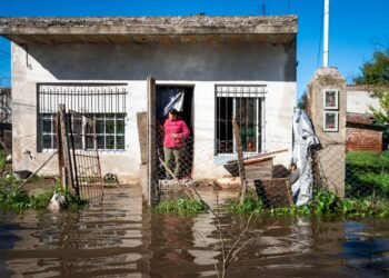 Campo inundado en la provincia de Buenos Aires con pérdidas productivas.