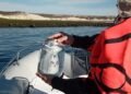 Chubut monitorea microplásticos en su costa para construir una línea de base propia