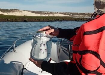 Chubut monitorea microplásticos en su costa para construir una línea de base propia