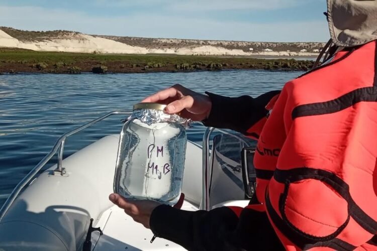 Chubut monitorea microplásticos en su costa para construir una línea de base propia