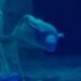 Beluga nadando en acuario, similar a Jelly Bean en el Oceanogràfic de Valencia.