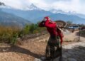 Mujer agricultora trabajando en terrazas de cultivo en las montañas de Nepal.