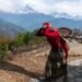 Mujer agricultora trabajando en terrazas de cultivo en las montañas de Nepal.
