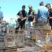 Rescate de 45 aves silvestres en San Juan expone tráfico ilegal y extracción de bosque nativo