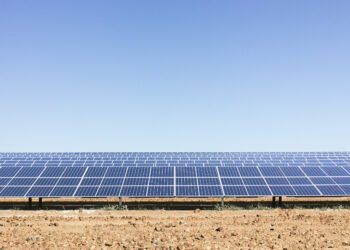 Campo de paneles solares fotovoltaicos bajo cielo despejado en Argentina.