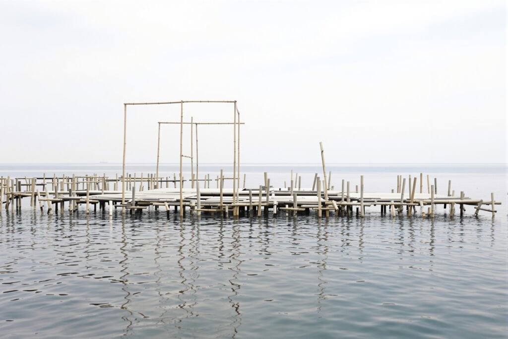 Estructura flotante de bambú sobre el agua en ambiente marino, plataforma solar offshore en China.