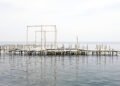 Estructura flotante de bambú sobre el agua en ambiente marino, plataforma solar offshore en China.