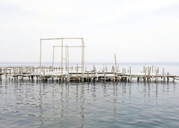 Estructura flotante de bambú sobre el agua en ambiente marino, plataforma solar offshore en China.