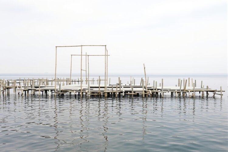 Estructura flotante de bambú sobre el agua en ambiente marino, plataforma solar offshore en China.