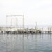 Estructura flotante de bambú sobre el agua en ambiente marino, plataforma solar offshore en China.