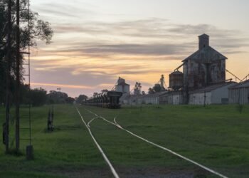 Tren de carga ferroviaria transportando mercancías en Argentina, símbolo de la privatización del Belgrano Cargas.