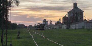 Tren de carga ferroviaria transportando mercancías en Argentina, símbolo de la privatización del Belgrano Cargas.