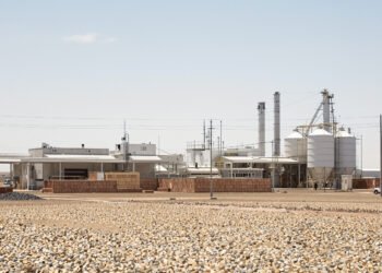 Planta industrial de procesamiento de maní en Córdoba, Argentina, representando la crisis de Manisur.