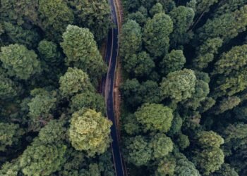 Vista aérea de una carretera de tierra atravesando la selva amazónica en Brasil, región de la ruta BR-319.