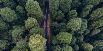 Vista aérea de una carretera de tierra atravesando la selva amazónica en Brasil, región de la ruta BR-319.